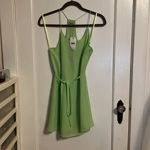 Mint green Naked Zebra dress